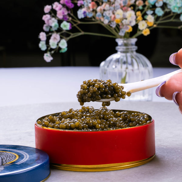 caviar fish box Smoked fish and the best caviar from all around world!